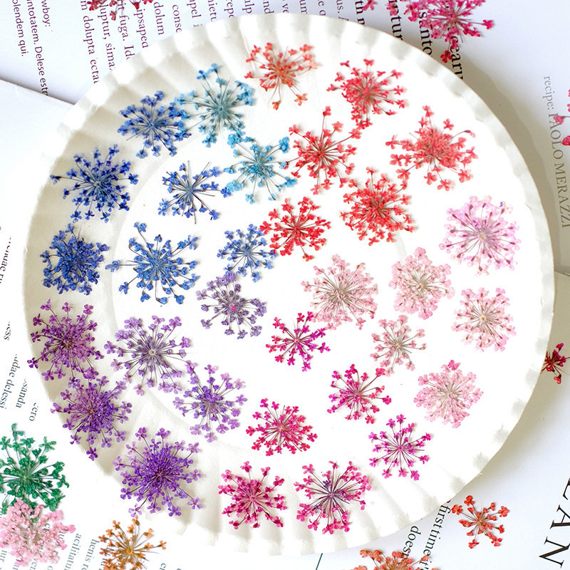 24 Stück, 2-2,5 cm, Naturgefär – Resin Art And Jewelry Bewertung und Preis