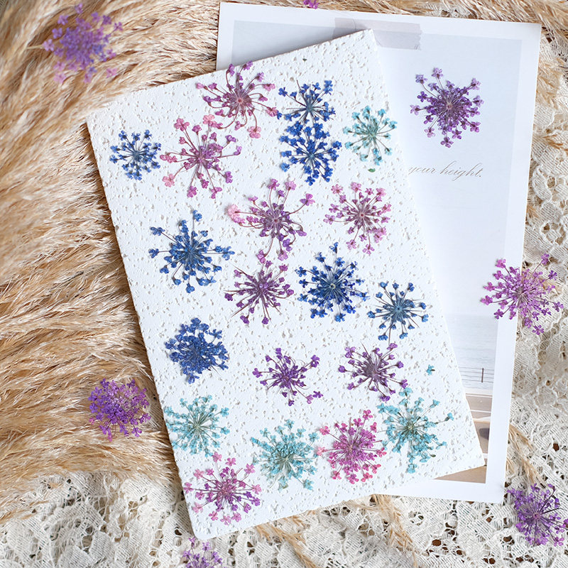 24 Stück, 2-2,5 cm, Naturgefär – Resin Art And Jewelry Bewertung und Preis
